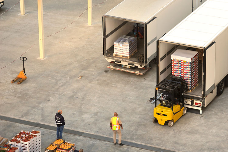 People at a warehouse loading a freight truck